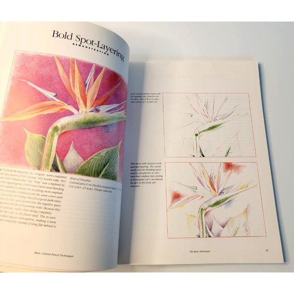 Book Basic Colored Pencil Techniques By Bet Borgeson 1997 - Picture 3 of 6